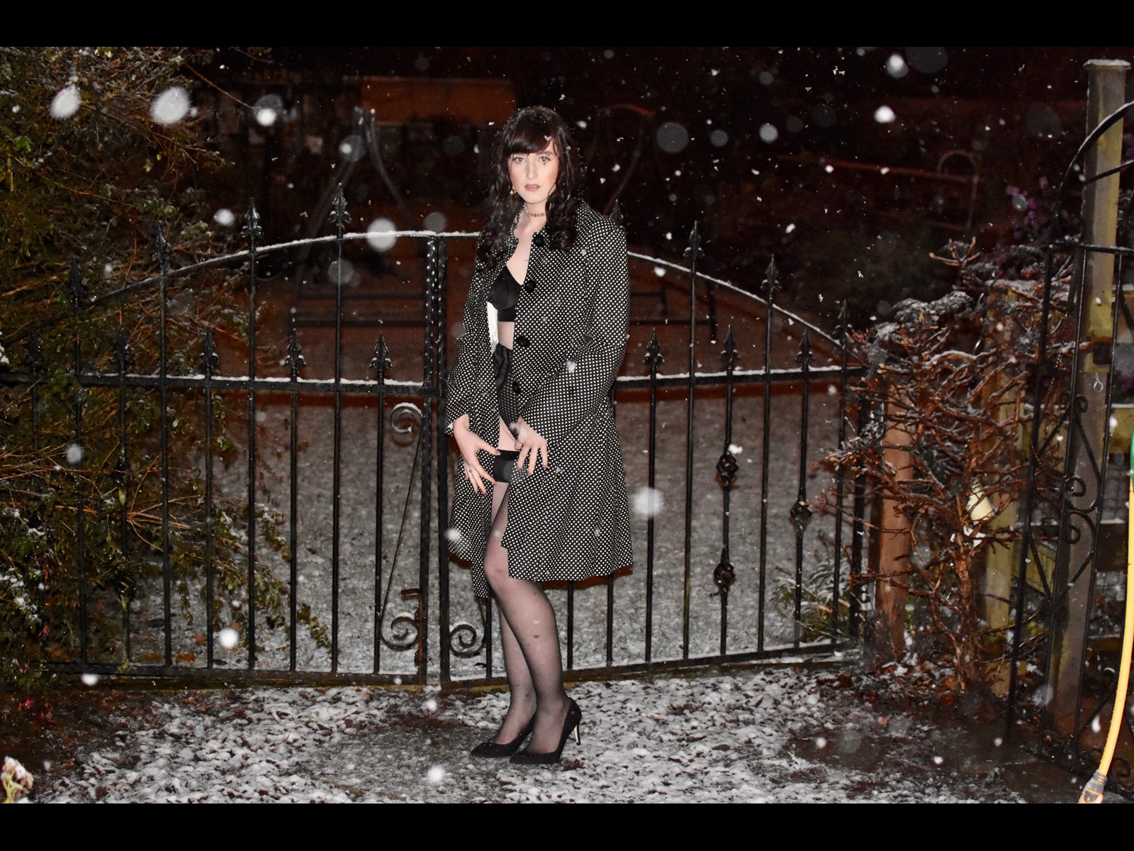 Snowing Wrought Iron Gates Fetish BDSM